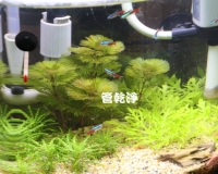 洗水管有什麼好處?