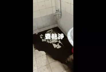 家裡挖到石油.. 台中 豐原 三和路 水管清洗 (管乾淨)