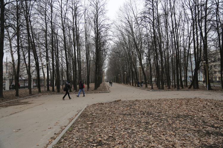 46.jpg
