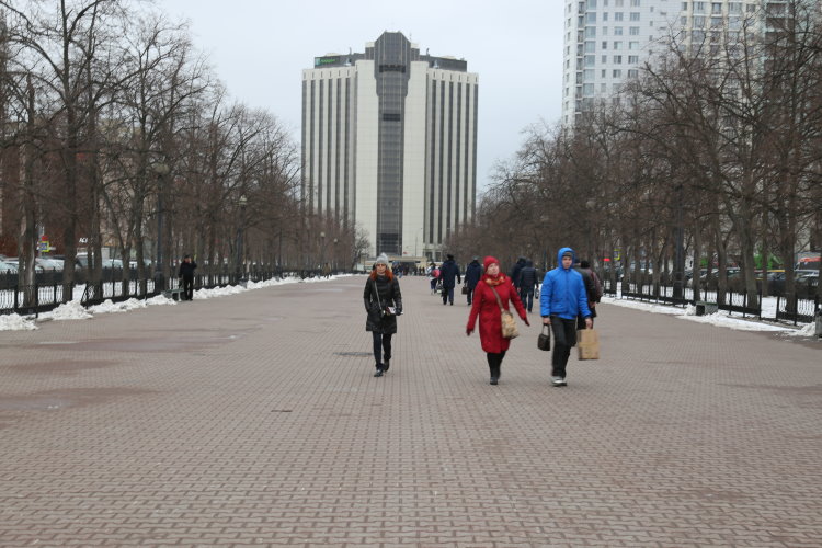 79.jpg